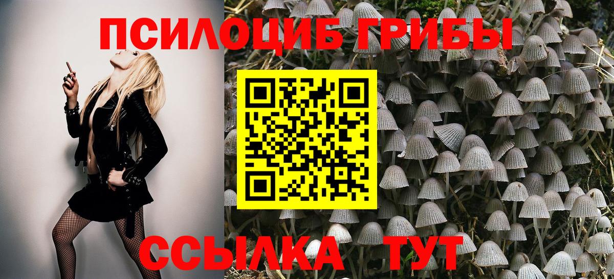 Камышлов  Псилоцибиновые грибы MAGIC MUSHROOMS  Вход с VPN  Псилоцибиновые грибы мицелий 
