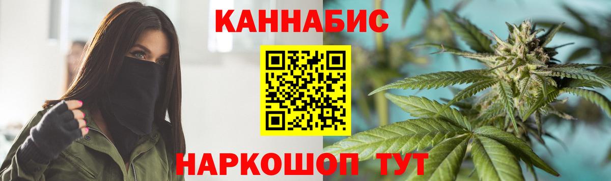 Конопля гибрид Камышлов